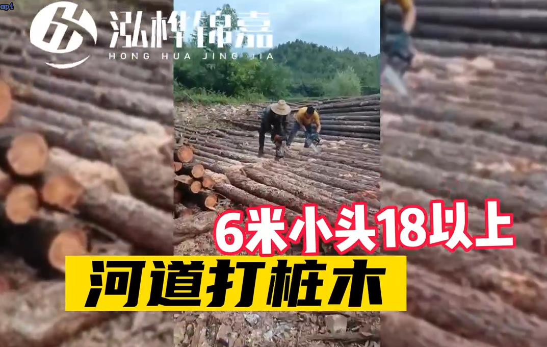 6米小頭河道打樁木廠家發貨視頻