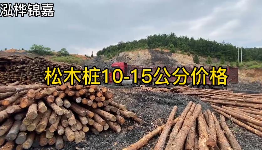 松木樁10-15cm價格視頻