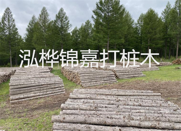松木樁基礎施工動畫-打造穩固可靠的基礎設施