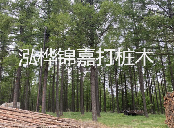 上海圍欄松木樁施工，為你打造安全舒適的園林空間
