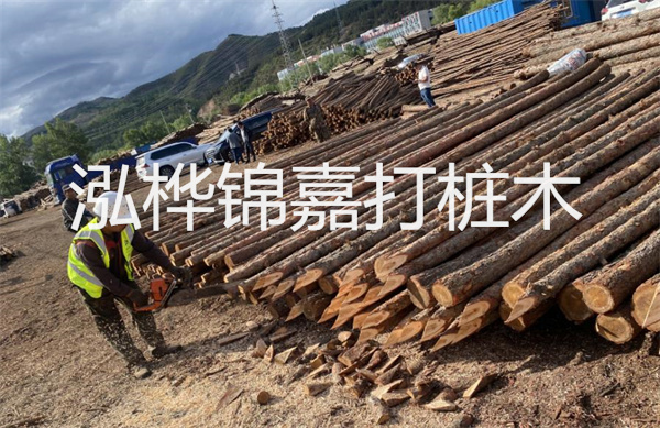 上海護岸松木樁施工，保護城市江岸美景