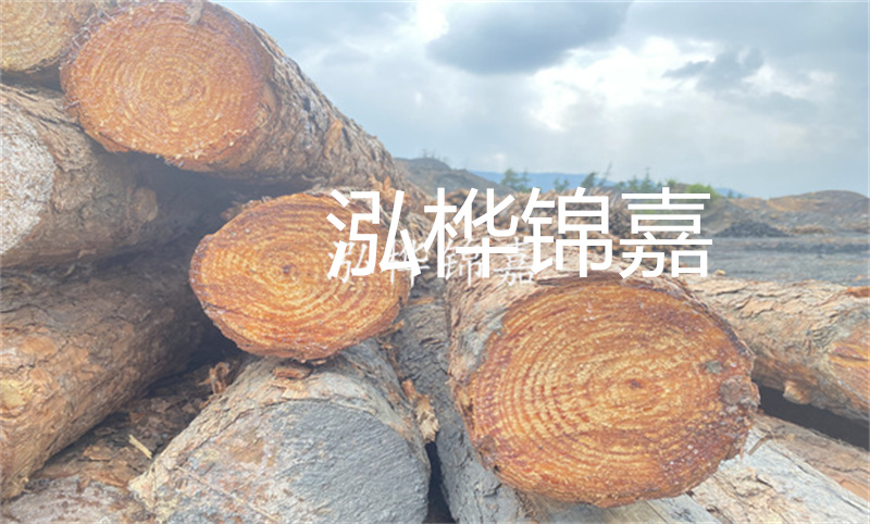 臺州松木樁加工企業有哪些
