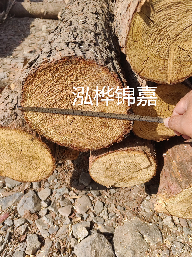 開啟木材行業新篇章，松木樁批發市場，一站式采購盡在眼前