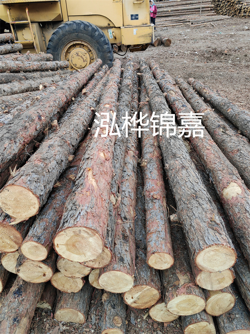 松木樁作為樁基施工平臺，穩固可靠！