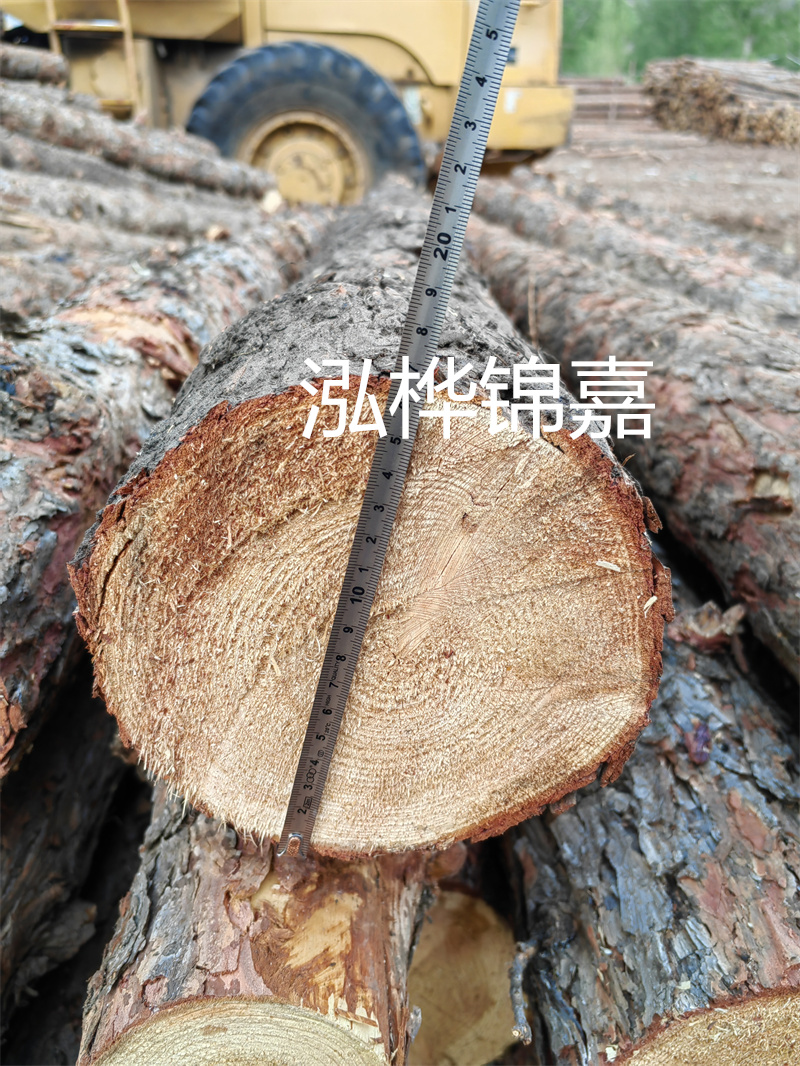 繁華重慶 杉木原木批發市場