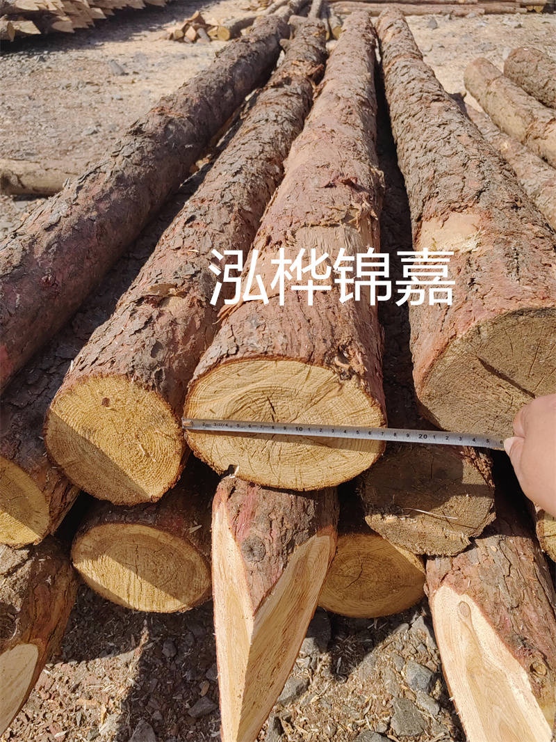 松木樁采用什么技術規范