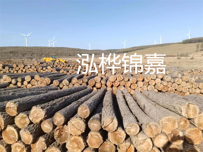 惠州哪里松木樁便宜！